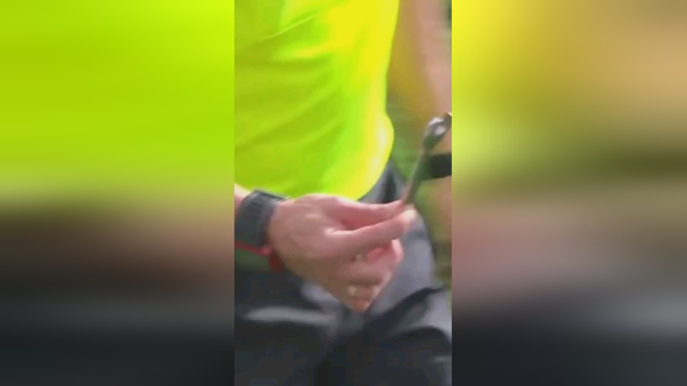 策苏帕妮达