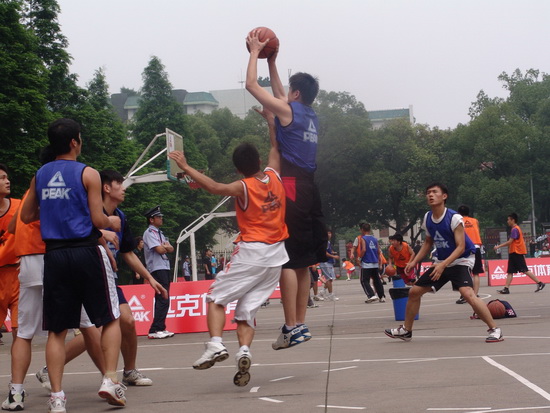 稻的